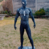 Spider Man Black
