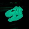 Kids room dinosaur decor