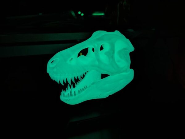 Kids room dinosaur decor