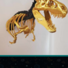 T-Rex-baby-skeleton krugersdorp