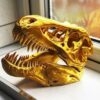 T-Rex skull South Africa