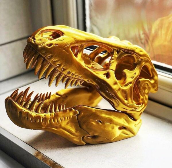T-Rex skull South Africa